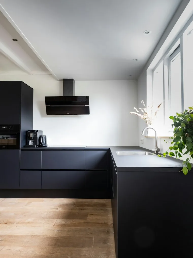 Modern kitchen with matte black cabinets, wood floors and a green plant